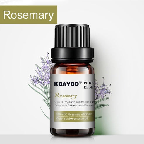 Natural Aromatherapy Essential Oils Set - Eco-Friendly Glass Bottles