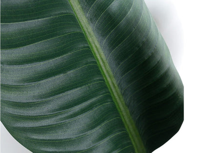 Eco-Friendly Artificial Plant with Biodegradable Paper Bag