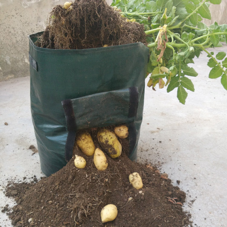Eco-Friendly Reusable Grow Bag for Urban Gardening