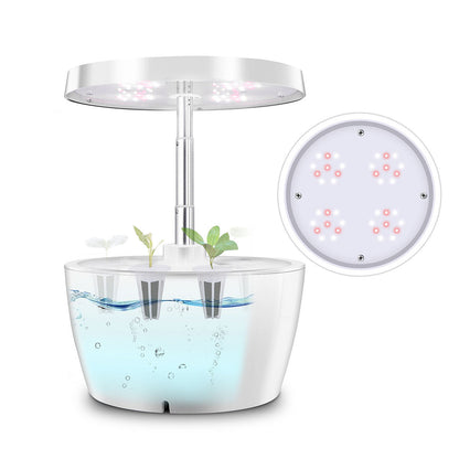 Compact Indoor Hydroponic Garden with LED Light for Year-Round Fresh Produce