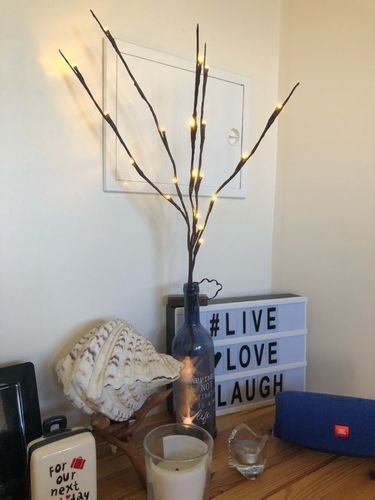 Energy-Efficient LED Light Branches for Home Décor