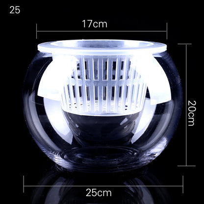 Hydroponic Plant Vase - Clear Round Glass for Soil-Free Indoor Gardening
