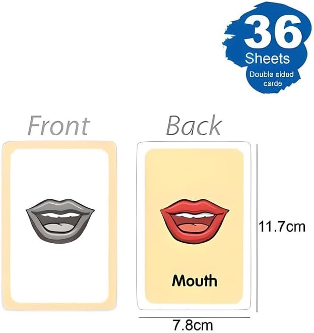 120 Pieces Body Parts Series Flash Cards (36 Sheets – 11.7x7.8cm Educational Anatomy Cards)