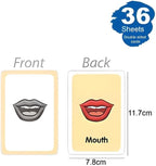 120 Pieces Body Parts Series Flash Cards (36 Sheets – 11.7x7.8cm Educational Anatomy Cards)