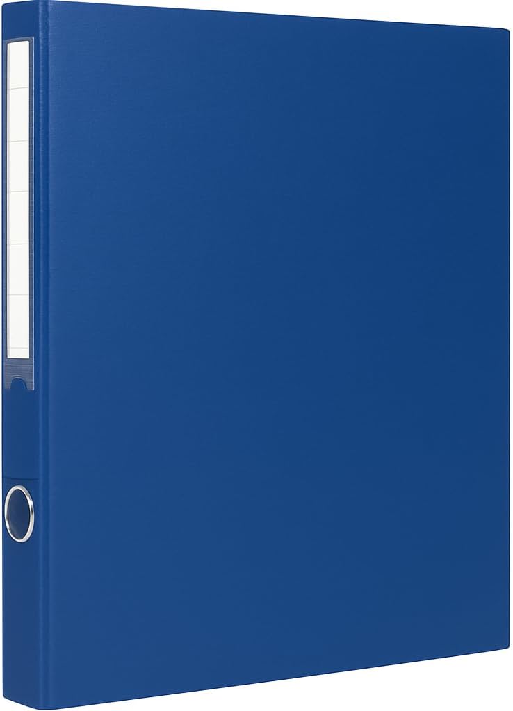Level File 1 PC with 4 Holes, 34cm x 25cm, Blue for Home and Office Use