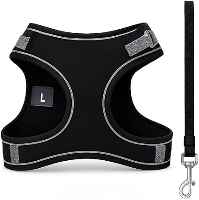 Pet Harness and Lead Set Size L 20x15cm Adjustable Padded Breathable Dog Puppy Cat Walking Harness with Leash