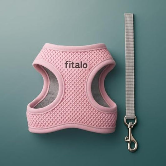 Small Pet Harness and Lead Set Size S 17x13.5cm - Adjustable Lightweight Harness for Small Dogs Cats Puppies