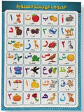 120 Pieces Arabic Letters Poster - Arabic Alphabet Wall Arts for Home (Office & Classroom Decor)