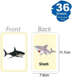 120 Pieces Ocean Series Flash Cards 36 Sheets (11.7x7.8cm – Educational Marine Life Activity Cards)