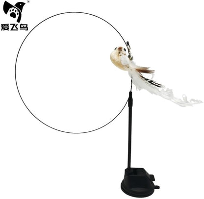 Cat Teaser Toy – Interactive Feather – Assorted Colors