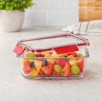 96 Pieces 300ML Glass Food Storage Containers with Airtight Lock Lid (Rectangular Clear Meal Prep Box – Freezer & Dishwasher Safe – Red)