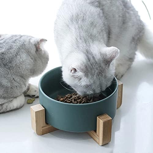96 Pieces Cat Ceramic Feeding Bowls with Stand (300ml Capacity – Assorted Colors)