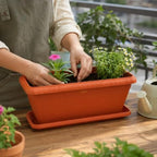 48 Pieces 60 cm Rectangular Plastic Planters with Matching Drainage Tray (Lightweight Indoor Outdoor Plant Pot for Herbs Flowers Balcony Patio Garden – Orange)