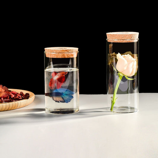 Eco-Friendly Glass Containers with Cork Lids