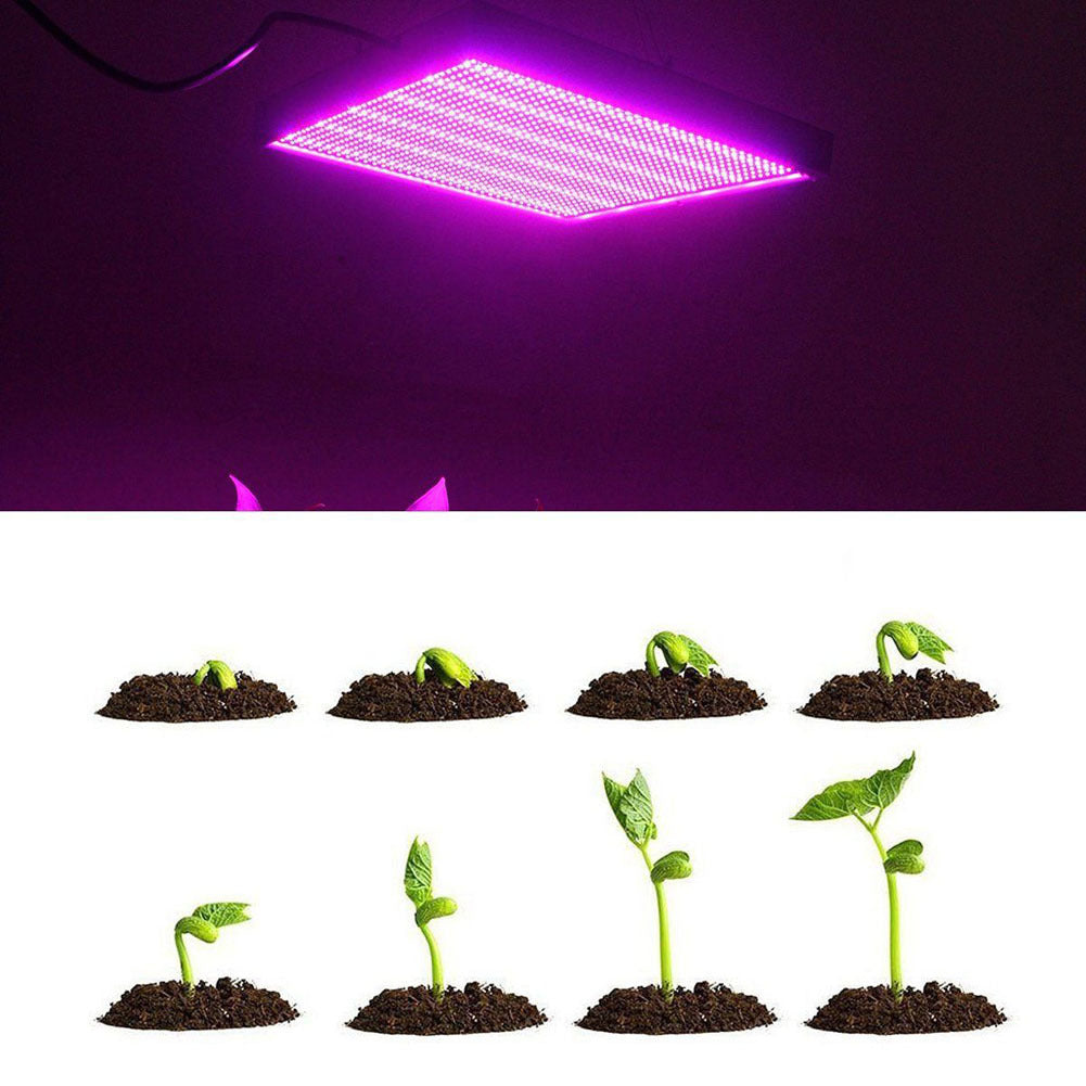 Energy-Efficient Indoor LED Grow Light for Sustainable Plant Growth