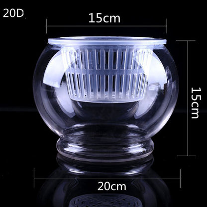 Hydroponic Plant Vase - Clear Round Glass for Soil-Free Indoor Gardening