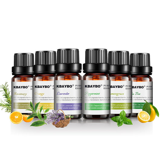 Natural Aromatherapy Essential Oils Set in Eco-Friendly Glass Bottles