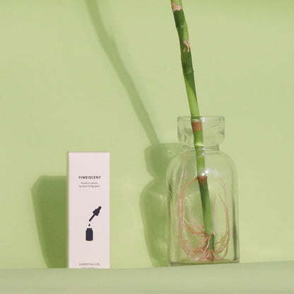 Aromatherapy Essential Oil in Eco-Friendly Glass Bottle