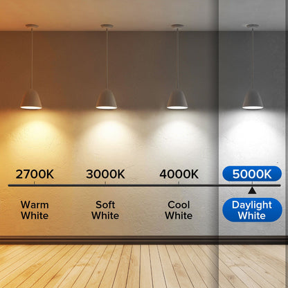 Energy-Efficient LED Light Bulbs - Long-Lasting A19 White Bulbs Set