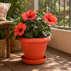 96 Pieces 25 cm Plastic Flower Pots with Saucer (Lightweight Indoor Outdoor Planter – Durable Plant Pot for Home Balcony Garden – Orange)