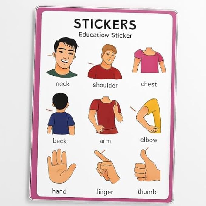 120 Pieces Body Parts Stickers for Kids - Educational Human Anatomy Stickers (Self-Adhesive Classroom & Preschool Learning Labels – Waterproof Sticker Set)