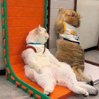 96 Pieces Cat Scratcher L-Shapeds (33x30x60 cm Assorted Colors)