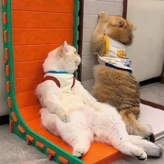 Cat Scratcher L-Shaped Design 33x30x60 cm Assorted Colors