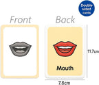120 Pieces Body Parts Series Flash Cards (36 Sheets – 11.7x7.8cm Educational Anatomy Cards)