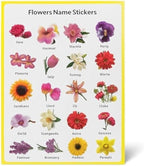 120 Pieces Floral Educational Stickers - Flower Stickers for Kids (Teacher Reward Stickers – Classroom – Scrapbook & Planner Craft Stickers)