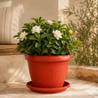 96 Pieces 25 cm Plastic Plant Pots with Matching Saucer (Textured Lightweight Flower Planter for Indoor and Outdoor Plants – Durable Decorative Garden Pot – Orange Red)