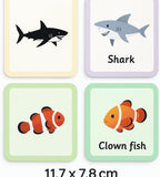 120 Pieces Ocean Series Flash Cards 36 Sheets (11.7x7.8cm – Educational Marine Life Activity Cards)