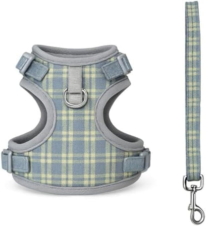 Small Pet Harness & Lead Set XXXS 14.5x11.5cm - Adjustable Soft Vest Harness with Leash for Hamster, Guinea Pig, Ferret, Rabbit