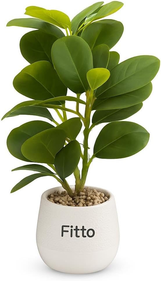 Artificial Potted Rubber Plant in Textured White Pot with Decorative Stones