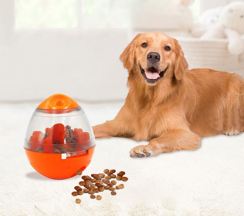 Cat & Dog Double Feeding Bowl – Dual Stainless Steel Bowls – Assorted Colors