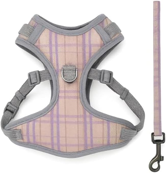 XS Pet Harness and Lead Set 21x16cm - Small Dog Puppy Cat Harness and Leash Adjustable Soft Walking Harness Vest