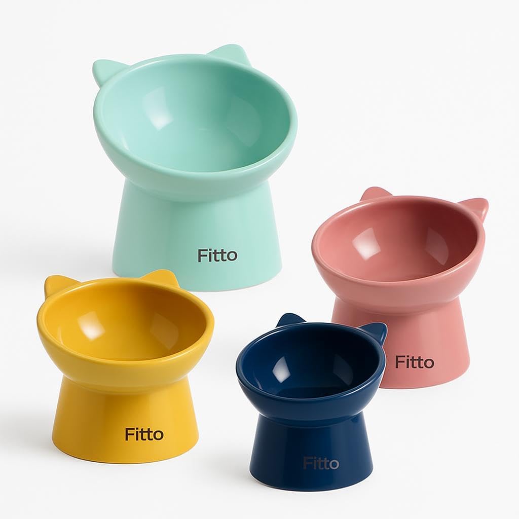 Cat Feeder Bowl – Tilted Design – 13.5cm x 11.5cm – 200ml Capacity – Pack of 4, Assorted Colors
