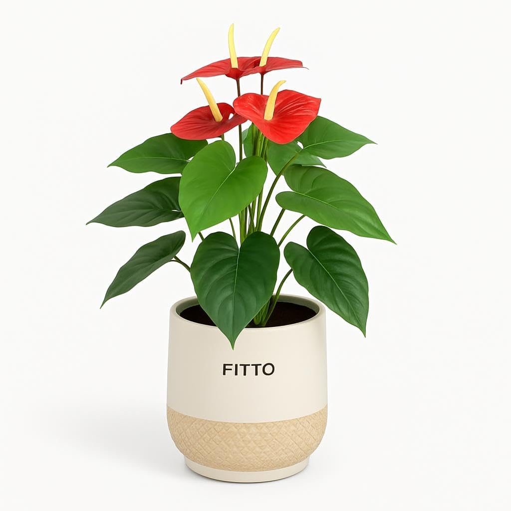 72 Pieces Stylish Artificial Plant in Ornamental Pots (76x39x21cm for Home & Office Decor)