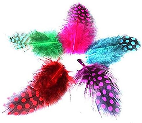 144 Pieces Feathers 12 PC Mixes for Crafts (DIY Projects – Decorations – and Costumes)