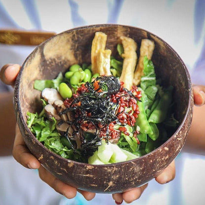 Eco-Friendly Coconut Shell Rice Bowls - Sustainable Biodegradable Dinnerware Set