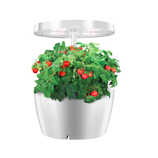 Compact Indoor Hydroponic Garden with LED Light