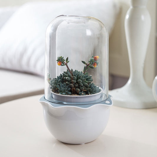 Dome-Shaped Terrarium with Clear Dome and White Base