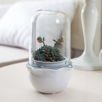Dome-Shaped Terrarium for Indoor Plant Growth