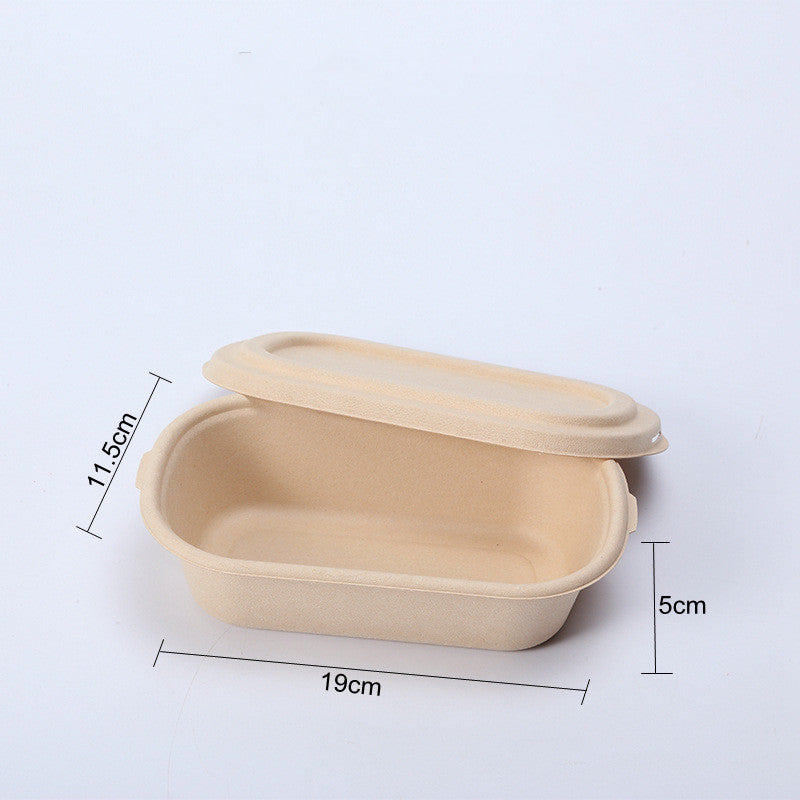 Eco-Friendly Biodegradable Soap Dishes - Beige Rectangular & Oval