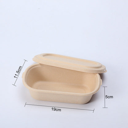 Eco-Friendly Biodegradable Soap Dishes - Beige Rectangular & Oval