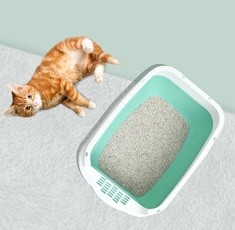 Enclosed Cat Litter Box - White