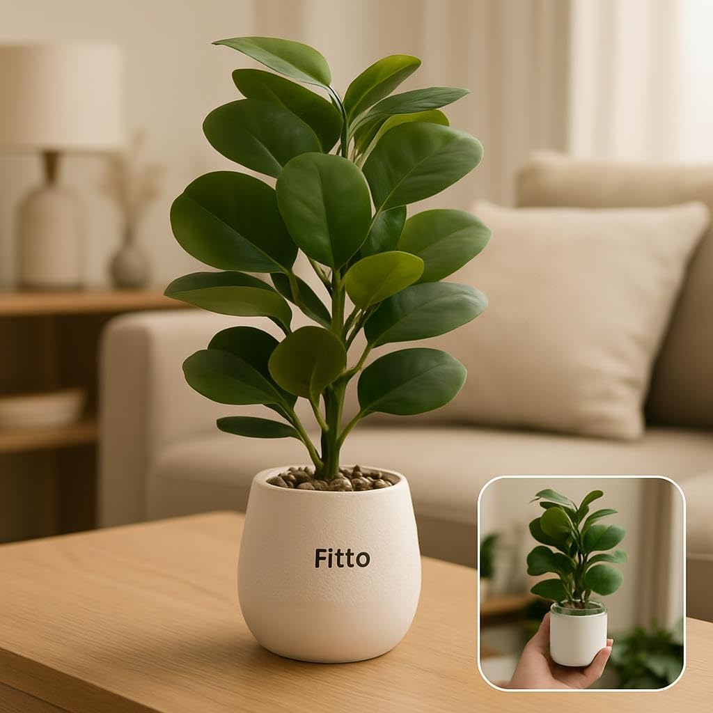 Artificial Potted Rubber Plant in Textured White Pot with Decorative Stones