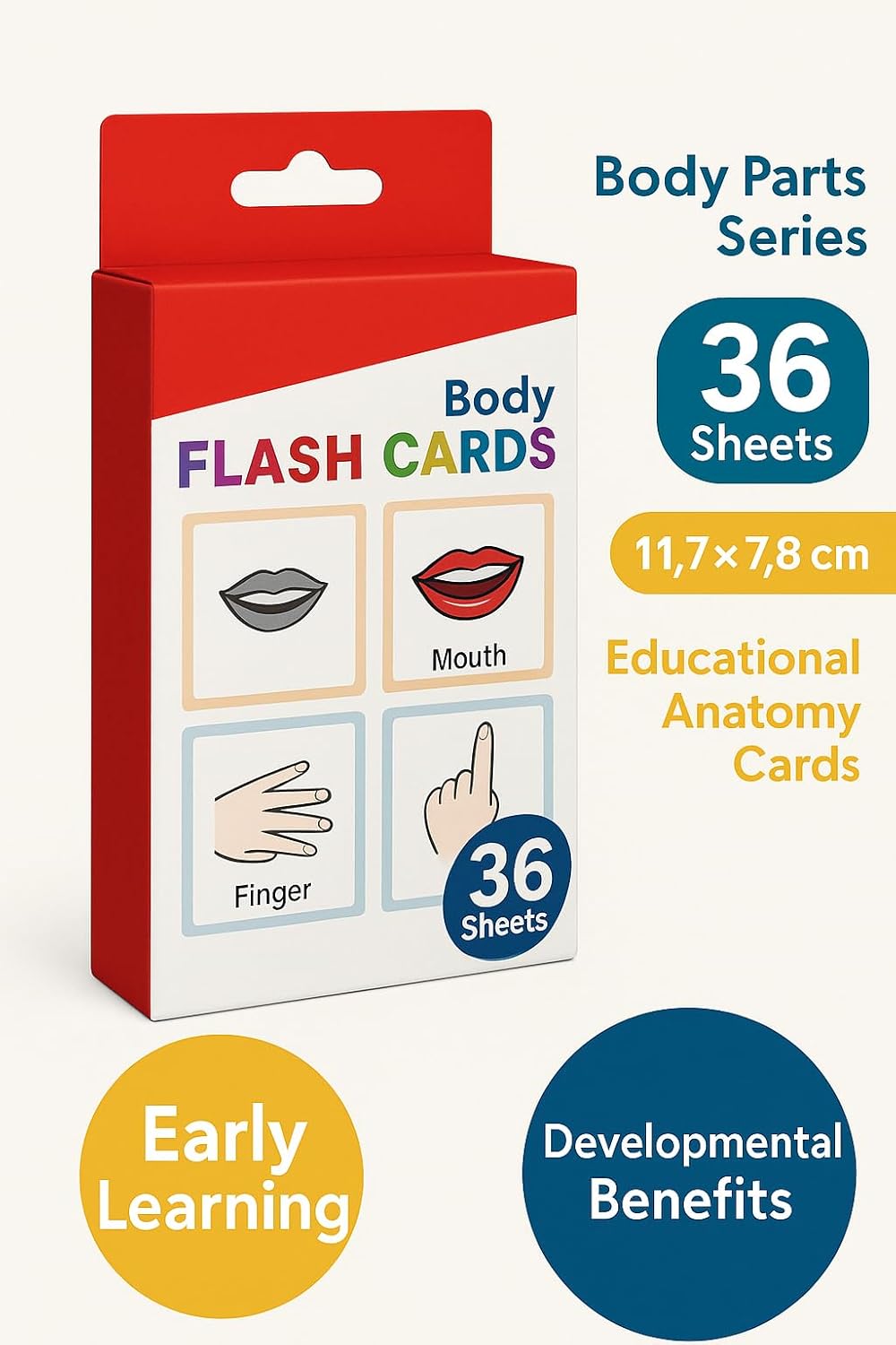 120 Pieces Body Parts Series Flash Cards (36 Sheets – 11.7x7.8cm Educational Anatomy Cards)