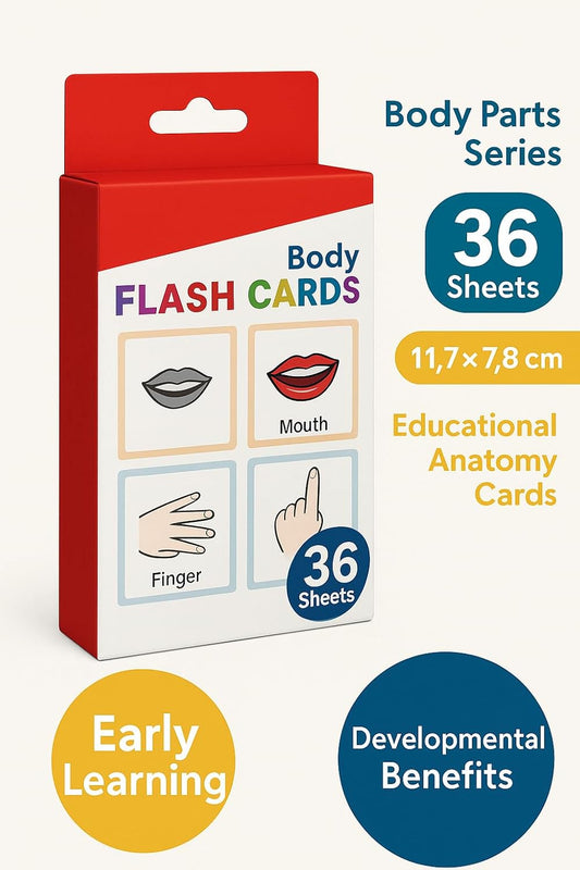 Body Parts Series Flash Cards, 36 Sheets, 11.7x7.8cm Educational Anatomy Cards