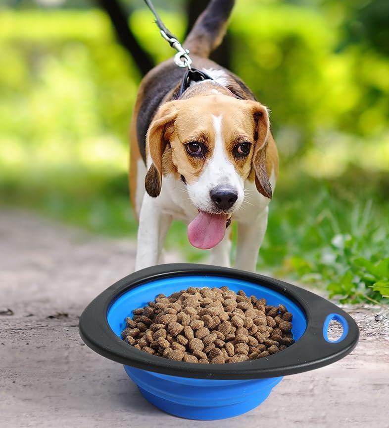 120 Pieces Cat & Dog Foldable Travel Bowls (Portable Food & Water Dish – Pack of 3 – Assorted Colors)