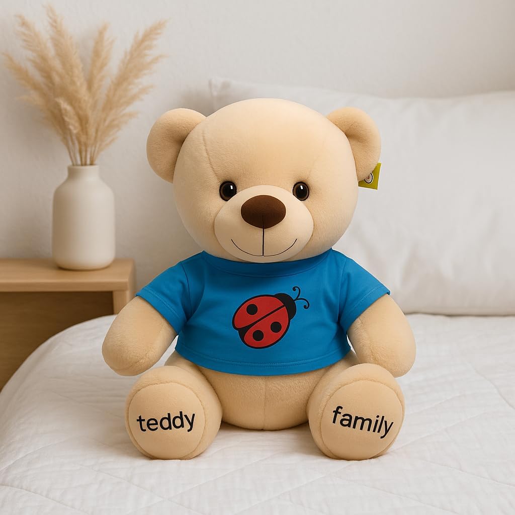 72 Pieces 40 cm Brown Teddy Bears with Blue T-Shirt (Cuddly Plush Soft Toy for Kids)